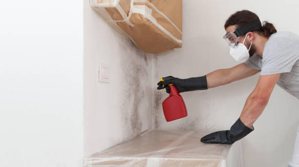 Professional Mold Removal technician working in Holbrook, NY